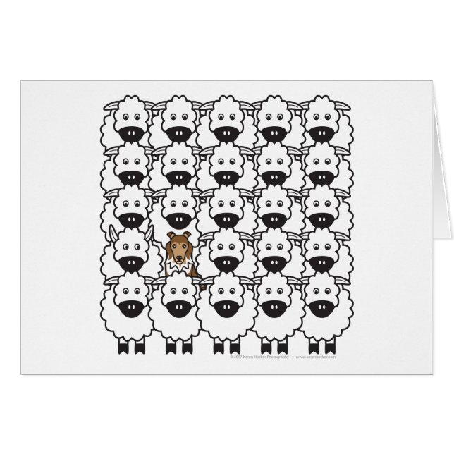 Sheltie en las ovejas (Anverso (Horizontal))