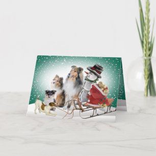 Sheltie, Jack Russell y tarjetas de Navidad del