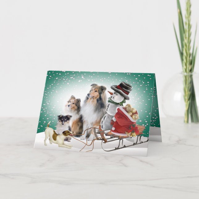 Sheltie, Jack Russell y tarjetas de Navidad del (Anverso)