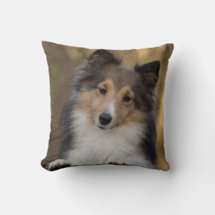 Sheltie Mascota Perro Cojín decorativo Decoración 
