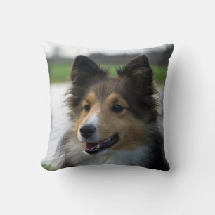 Sheltie Mascota Perro Cojín decorativo Decoración 