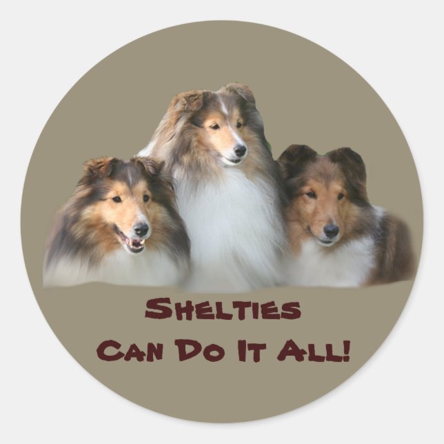 Sheltie Pegatina (Anverso)