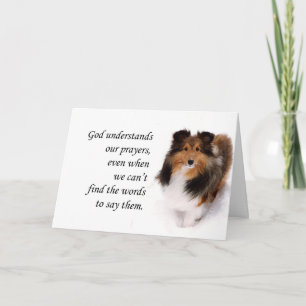 Sheltie Pensando en tu tarjeta
