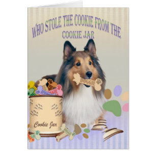 Sheltie robó la galleta de tarjetas del tarro de