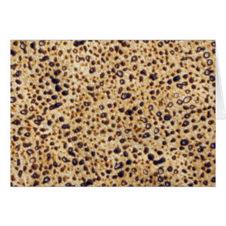 Shemura Matzah Gram