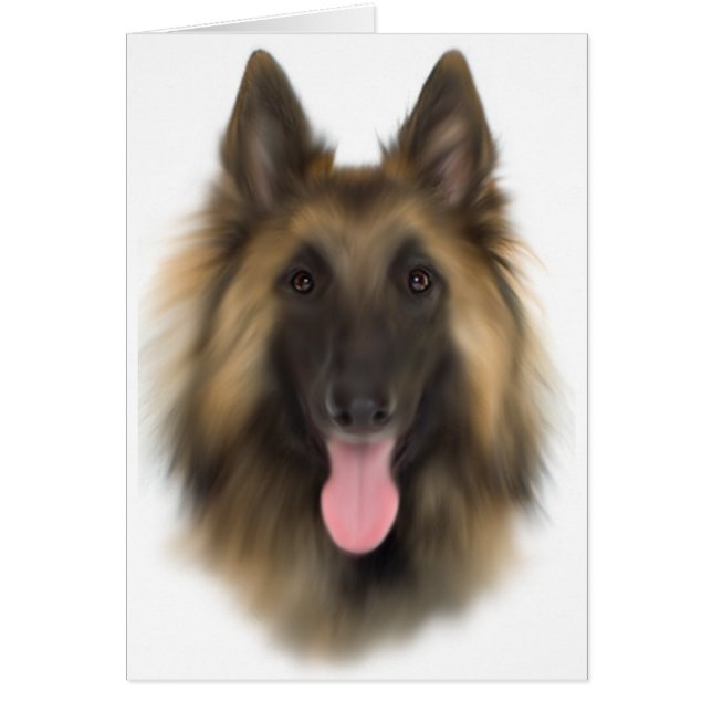 Sheperd Tervueren de Bélgica (Frente)