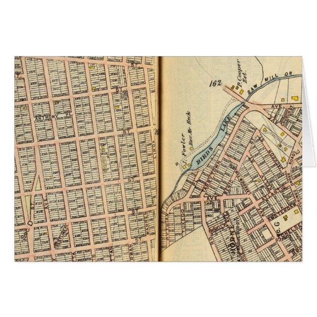 Sherman Park, Nueva York 2 (Anverso (Horizontal))