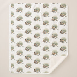 Sherpa Medio de manta de cangrejo ermitaño