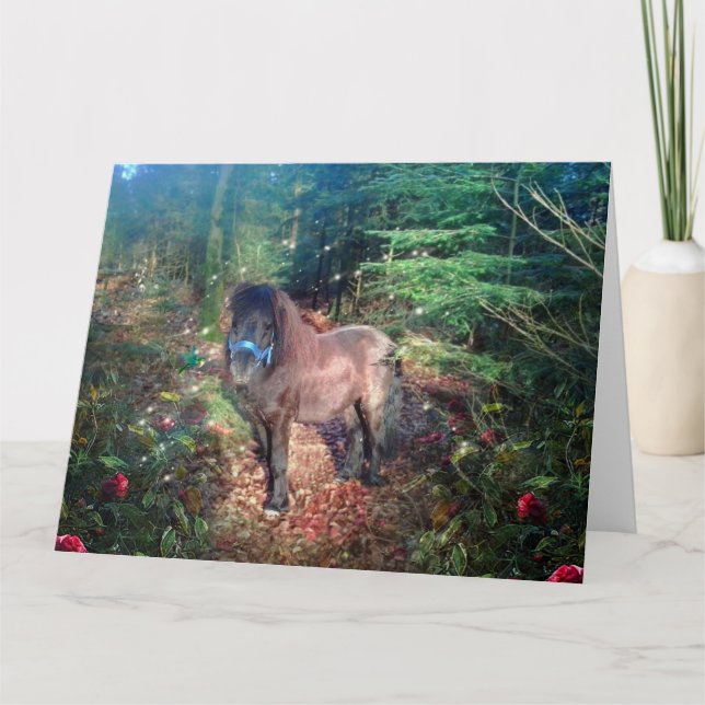 Shetland Pony - Tarjeta de saludo (Anverso)