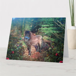 Shetland Pony - Tarjeta de saludo