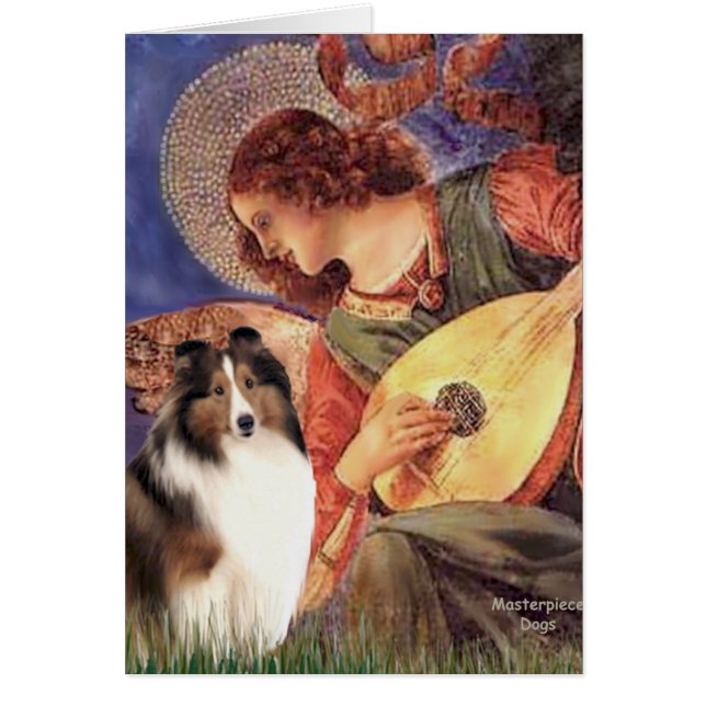 Shetland Sheepdog 7 - Mandolin Angel (Frente)