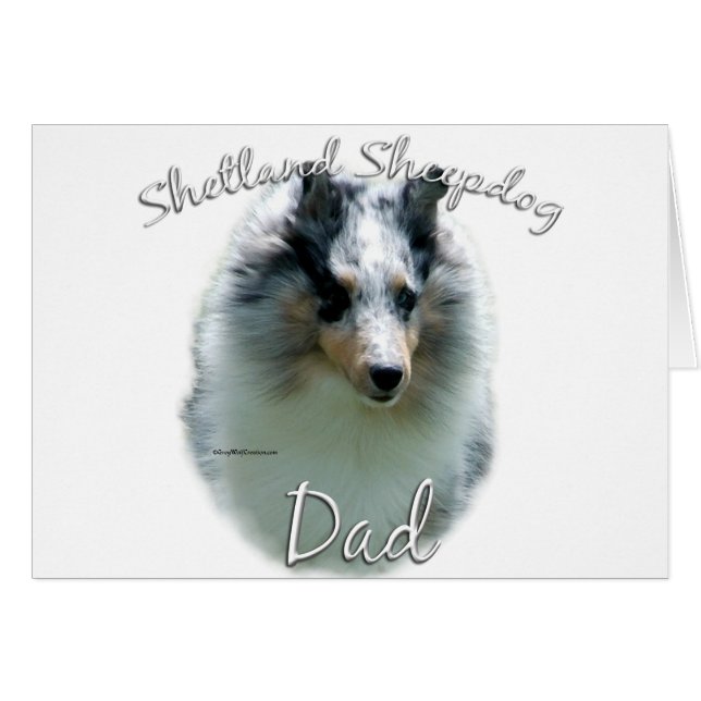 Shetland Sheepdog (merle) Dad 2 (Anverso (Horizontal))