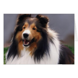 Shetland Sheepdog Sheltie Gifts