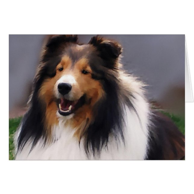 Shetland Sheepdog Sheltie Gifts (Anverso (Horizontal))