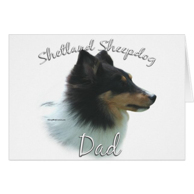 Shetland Sheepdog (tri) Dad 2 (Anverso (Horizontal))