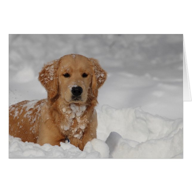 ¡Shhhh, nieve! (Anverso (Horizontal))