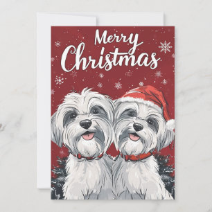Shi Tzu Feliz Navidad