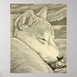 Shiba Inu Poster de arte Perro Poster de arte Shib