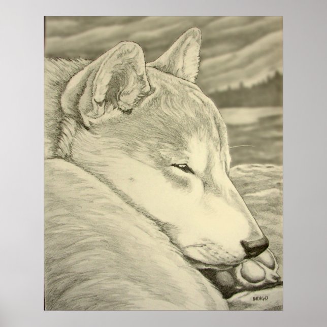 Shiba Inu Poster de arte Perro Poster de arte Shib (Frente)