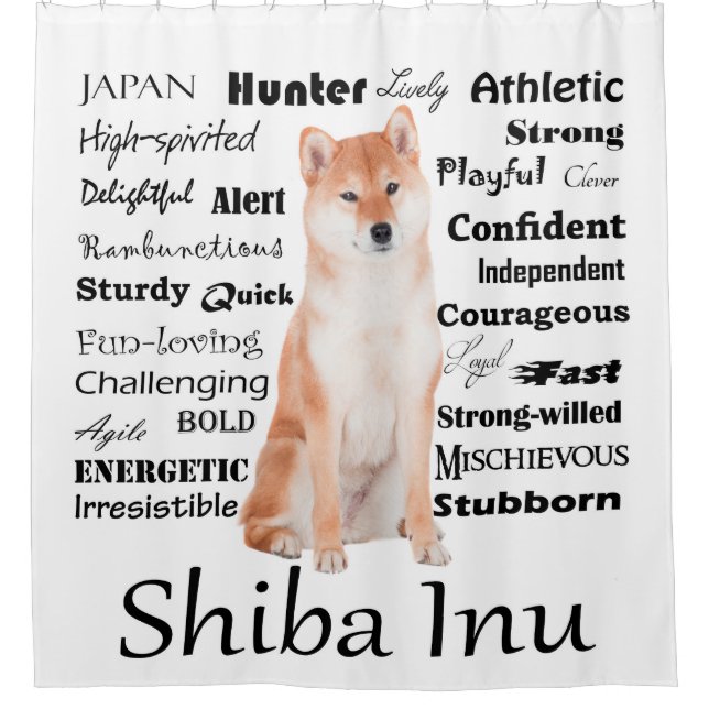 Shiba Inu Traes Cortina de ducha (Anverso)