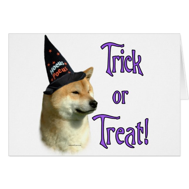 Shiba Inu Trick (Anverso (Horizontal))