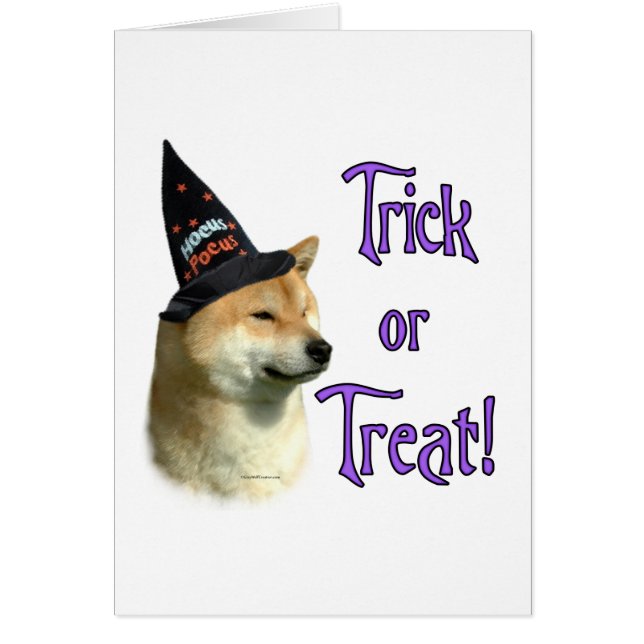 Shiba Inu Trick (Frente)