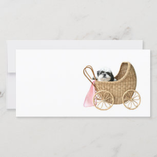 Shih Tzu baby buggy