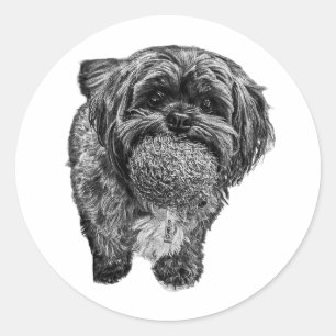 Shih Tzu & Bola   Calcomanía de Arte de Perro Jugu