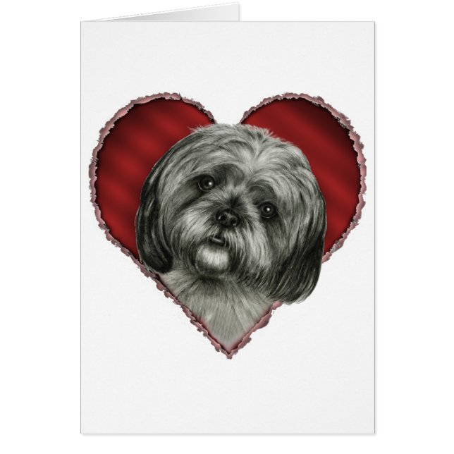 Shih Tzu con el corazón (Frente)