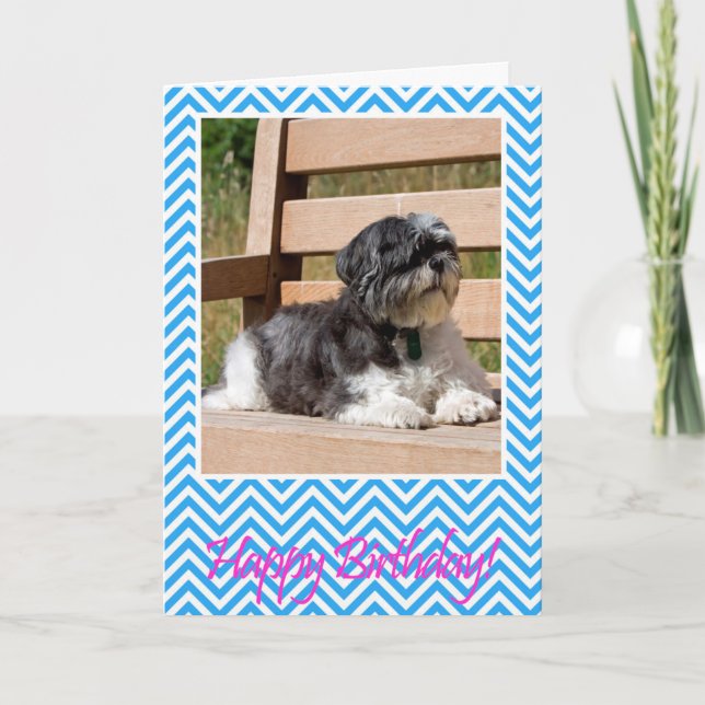 Shih Tzu Dog Tarjeta de felicitación de cumpleaños (Anverso)