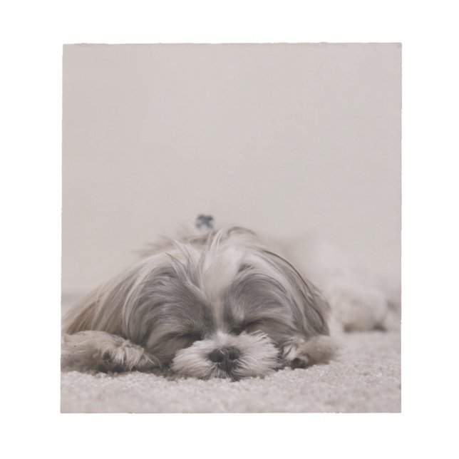 Shih tzu Dormiendo Bloc de notas , Perro durmiendo (Frente)