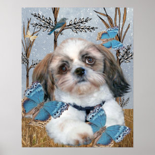 Shih Tzu e impresión de las mariposas