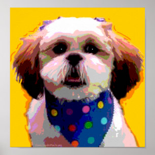 Shih Tzu en la impresión de la lona de Polkadots