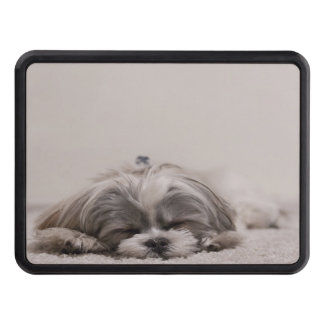 Shih tzu Funda de garganta durmiente , Perro durmi