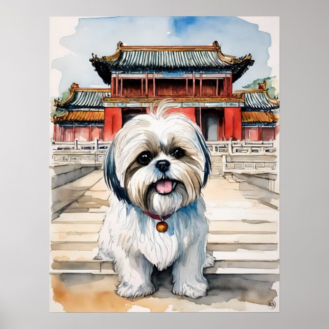 Shih Tzu - Impresión de arte de perro (Frente)