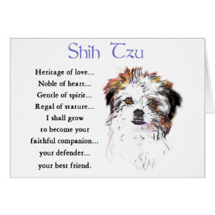 Shih Tzu Lovers Regalos