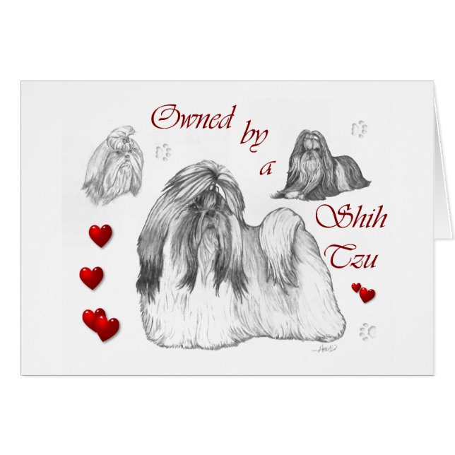 Shih Tzu Lovers Regalos (Anverso (Horizontal))