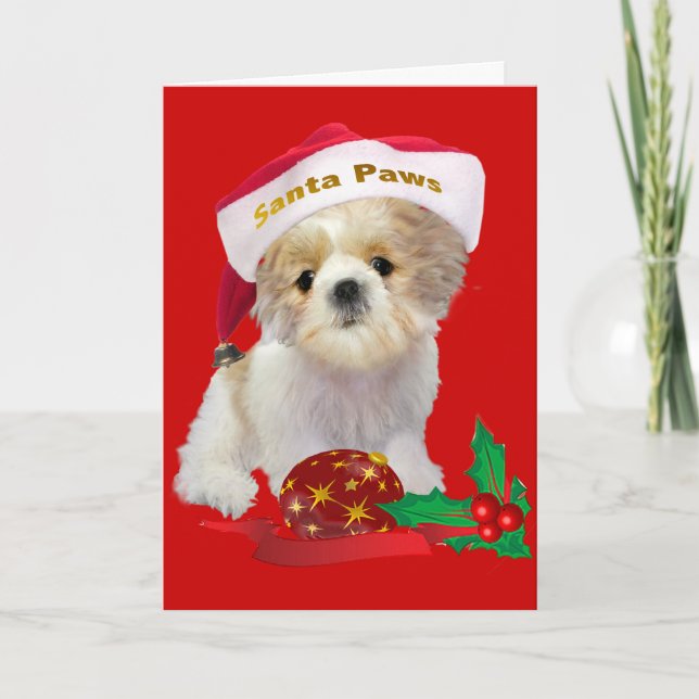 Shih Tzu muñecas Navidad (Anverso)