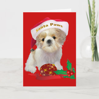 Shih Tzu muñecas Navidad