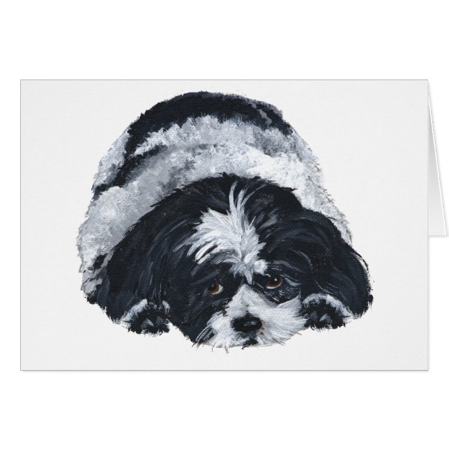 Shih Tzu Negro y Blanco (Anverso (Horizontal))