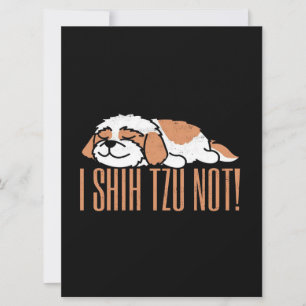 Shih tzu no es una cita graciosa Regalo de cumpl
