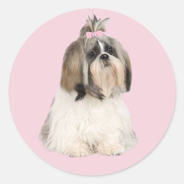 Shih Tzu Pegatina (Anverso)