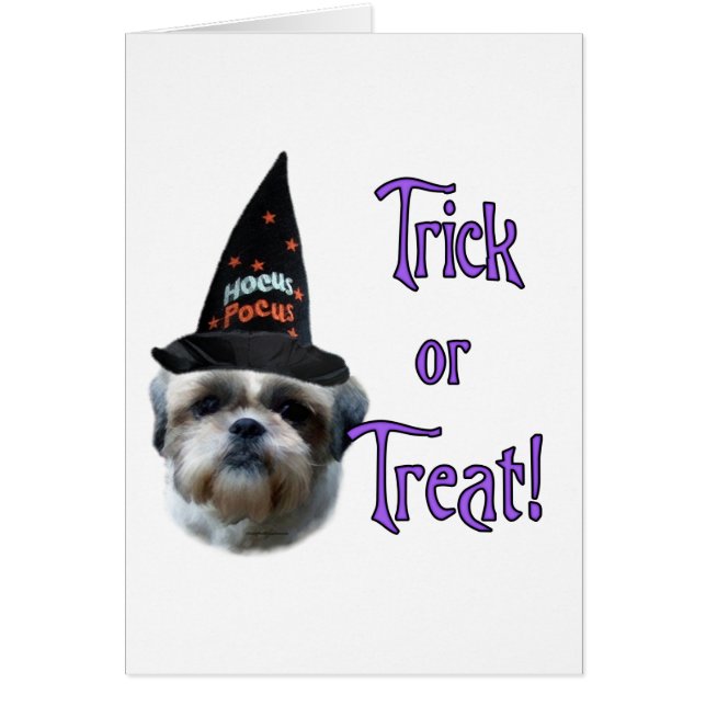 Shih Tzu Trick (Frente)
