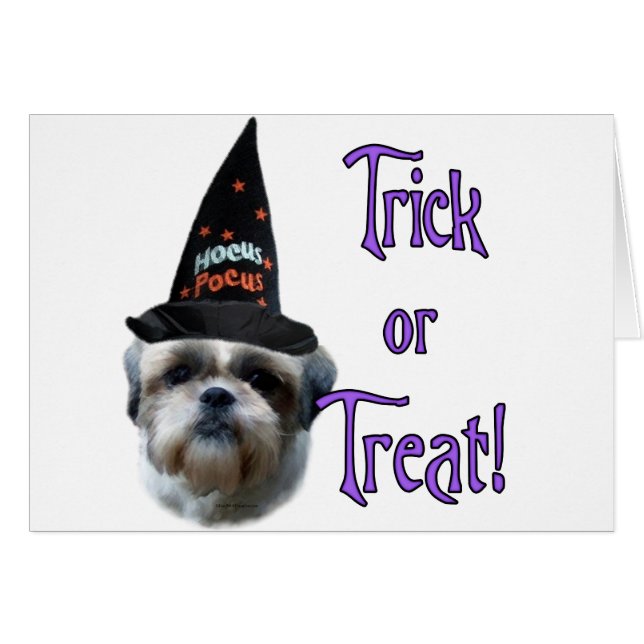 Shih Tzu Trick (Anverso (Horizontal))