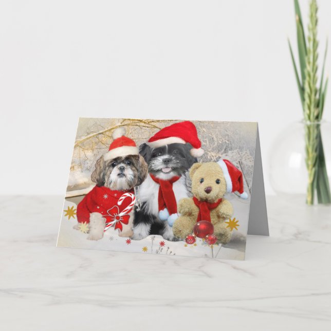 Shih Tzu y tarjeta de Navidad del oso de peluche (Anverso)