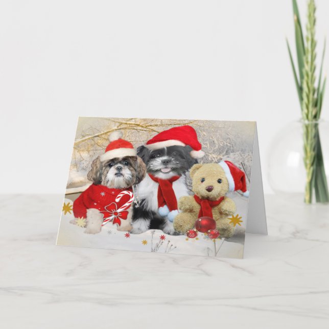 Shih Tzu y tarjeta de Navidad del oso de peluche (Anverso)