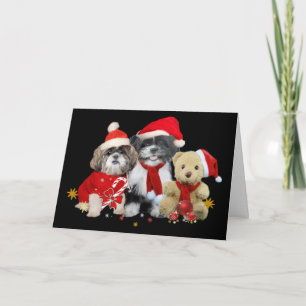Shih Tzu y Teddy Bear Tarjeta de Navidad