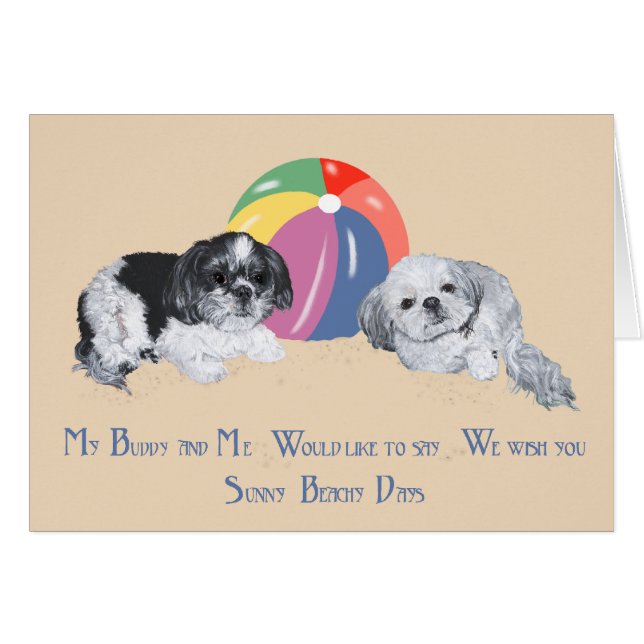 Shih Tzus en la Playa (Anverso (Horizontal))
