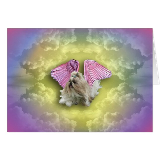 shihtzudis desciende del cielo (Anverso (Horizontal))