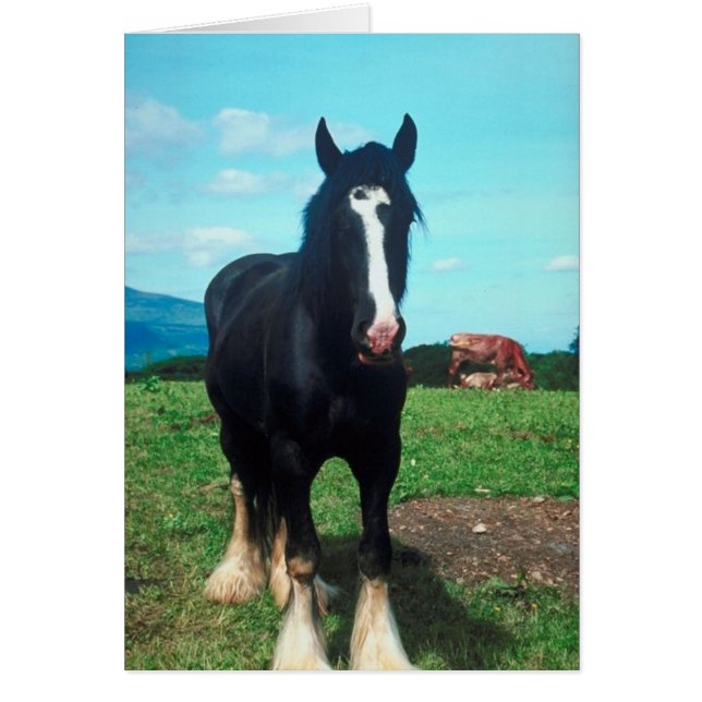 Shire en pie (Frente)